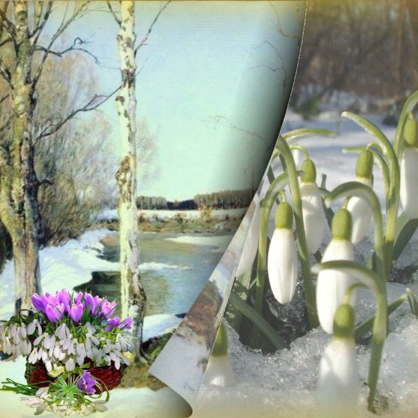 Весенний дождь