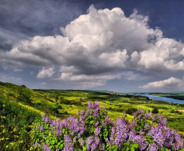 Майский пейзаж фото