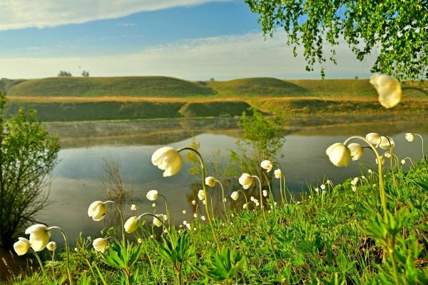 Природа весной