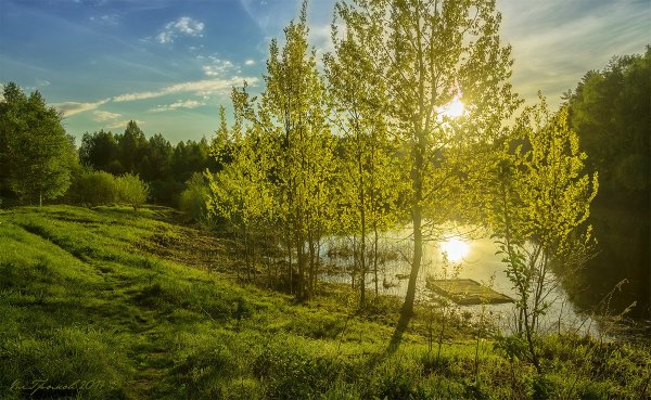 Поздняя Весна