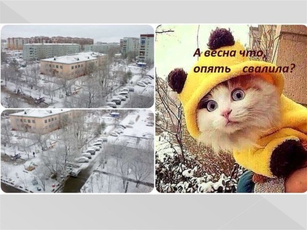 А что Весна опять свалила