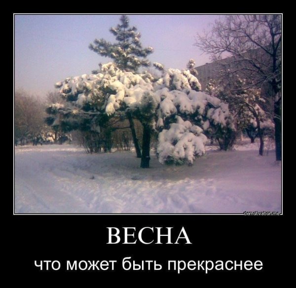 Приколы про весну смешные