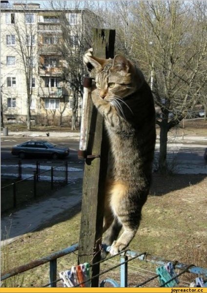 Зима в марте приколы