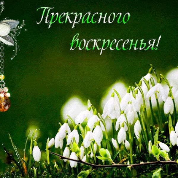 Открытка благословенного воскресенья