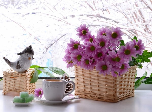 Чудесного весеннего утра и отличного настроения