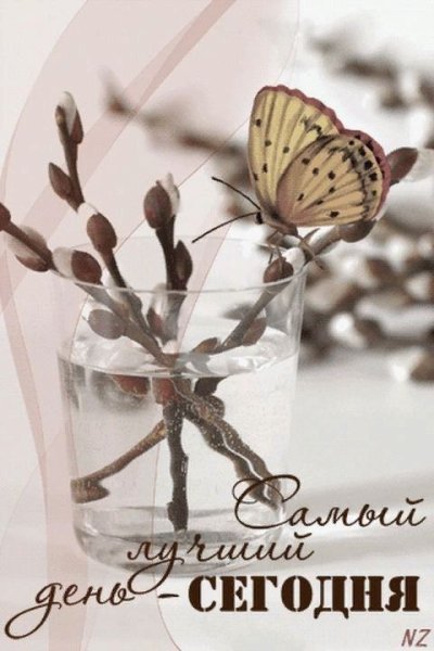 Стильные открытки хорошего дня