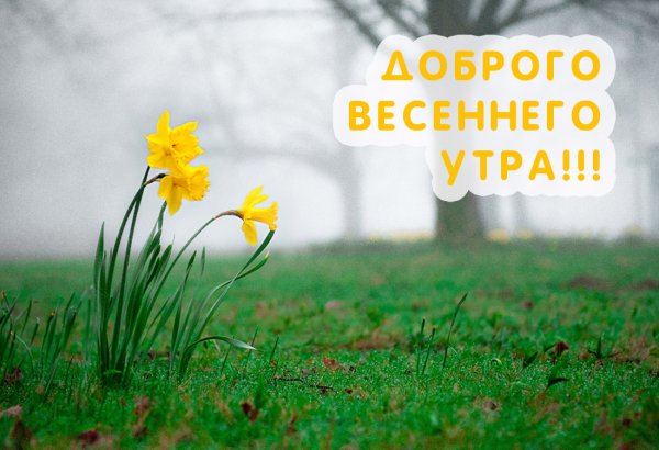 Доброе Весеннее утро
