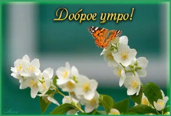 Доброго прекрасного утра и отличного настроения