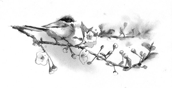 Весна набросок