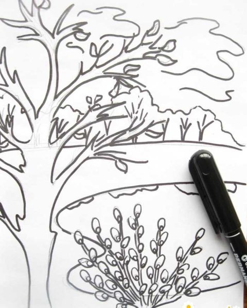 Рисунок Весна карандашом для срисовки