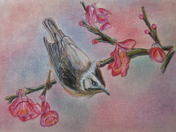 Весенний пейзаж карандашом