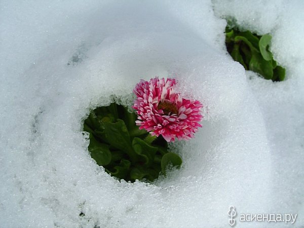 Опять зима вернулась