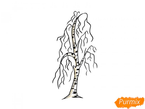 Рисование березы в средней группе