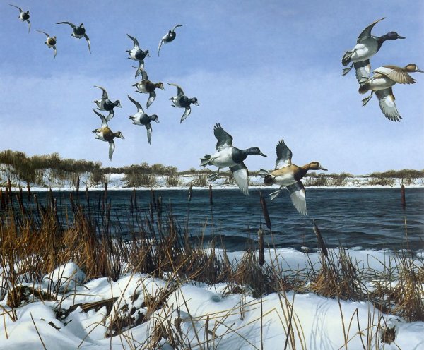 Весна гуси прилетели