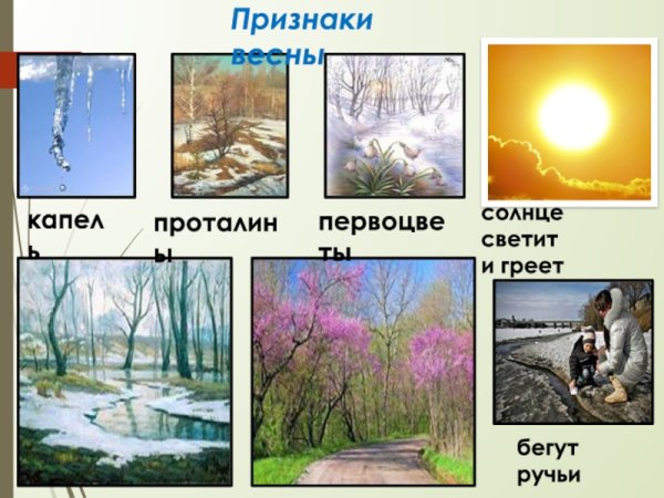 Проект признаки весны