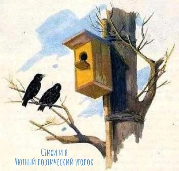 Скворцы прилетели