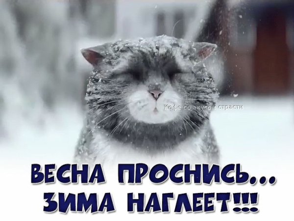 Весна Проснись зима наглеет