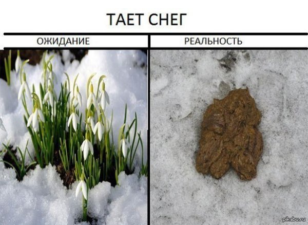 Котик в снегу
