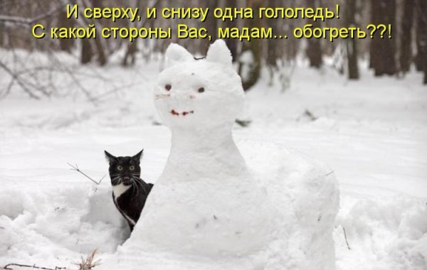 Прикольные надписи на снегу