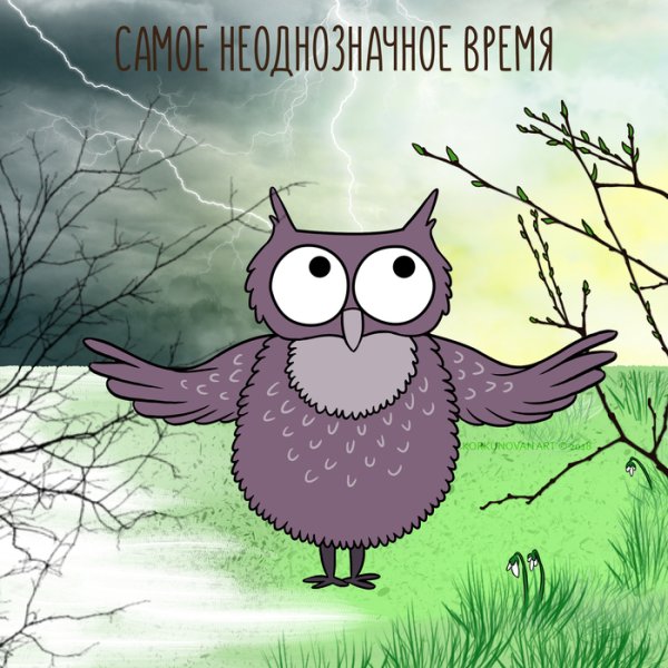 С днём рождения Сова прикольные