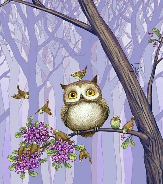 Совы Лиа Селина