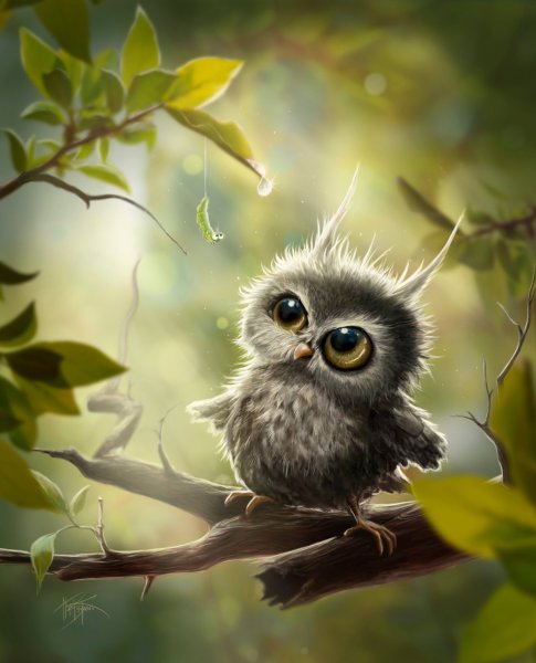 Мультяшные Совы акварелью