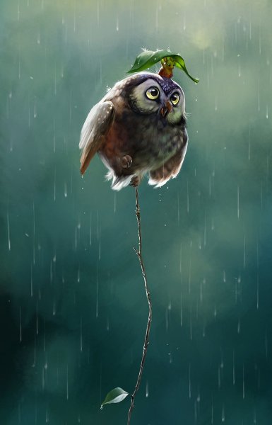 Открытка "две Совы"