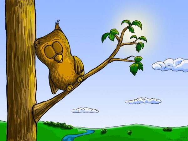 Филин карикатура