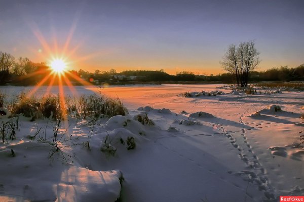Весенний рассвет