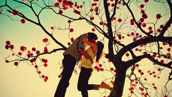 Двое под деревом