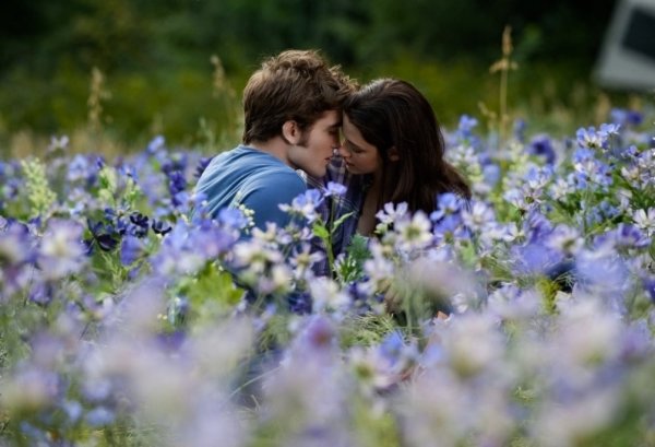 Белла и Эдвард на Поляне