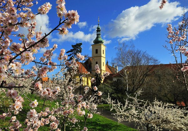 Прага Чехия весной