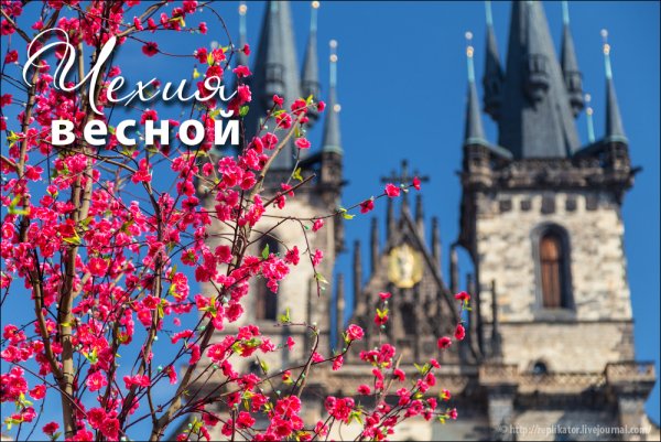 Чехия Прага Весна