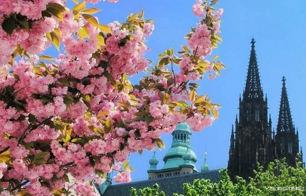 Весна в Праге