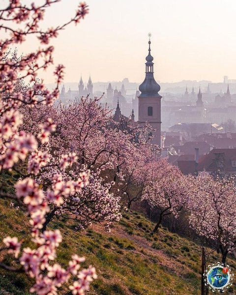 Тема Весна в Чехии Windows 7