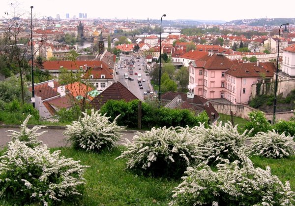 Хартиговский сад в Праге фото