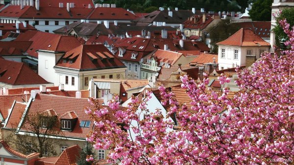 Прага в мае фото
