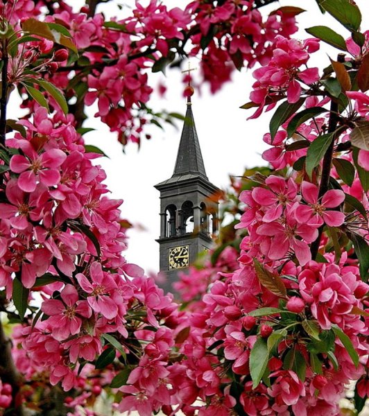 Чехия Прага Весна