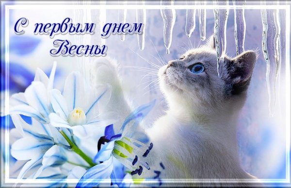 Поздравления с весной прикольные
