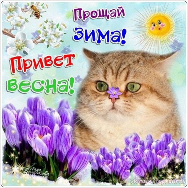 Прикольные мартовские открытки