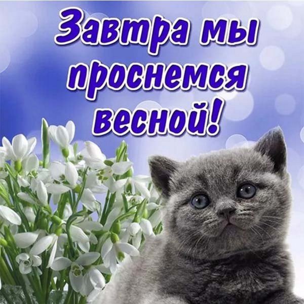 Весна открытки прикольные
