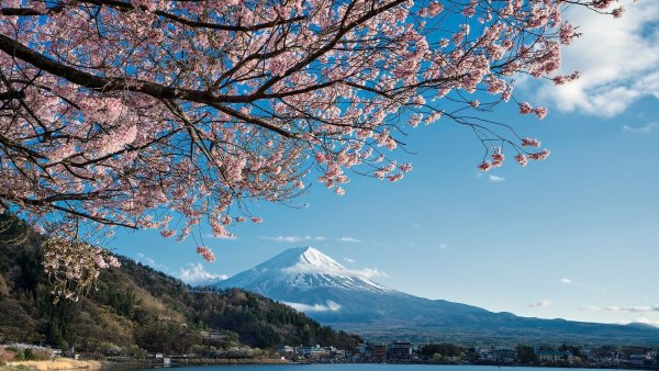Храм Японии Фуджи Сакура
