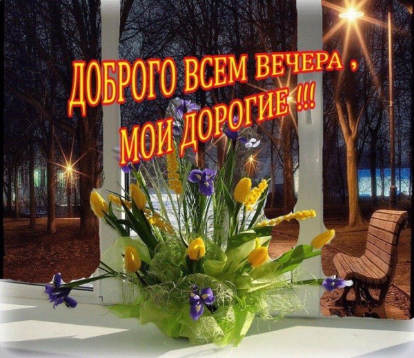 Доброго вечера и спокойной ночи