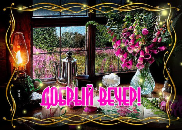 Цветочное поле