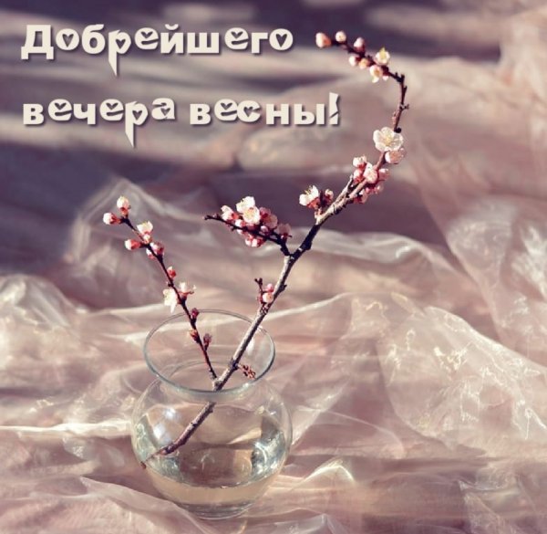 Доброго весеннего вечера