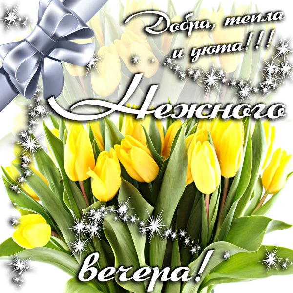 Цветы с пожеланием доброго вечера