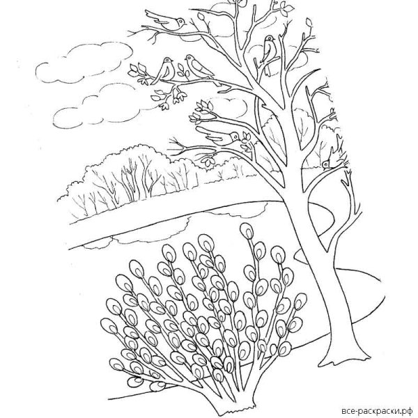 Раскраска. Весна