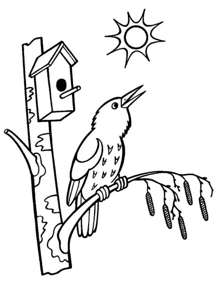 Весенние картинки для раскрашивания