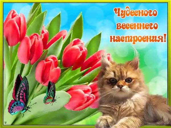 Отличного весеннего настроения