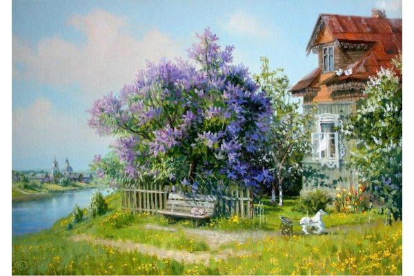 Река деревня лето Смоленская